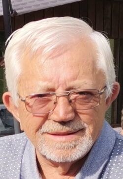 TEODOROVIĆ PERO