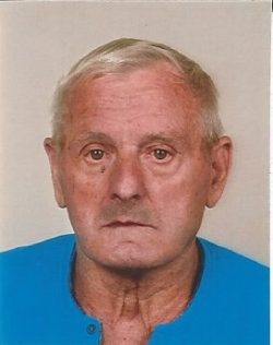 STERNIŠA HENRIK